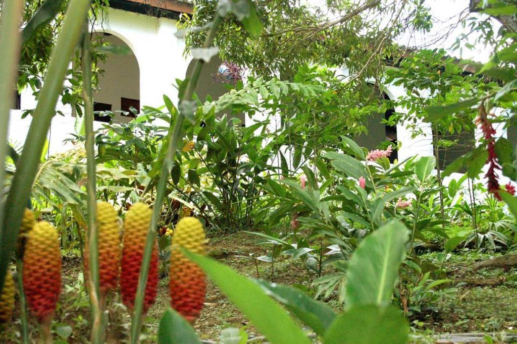 Hotel Minca - La Casona ภายนอก รูปภาพ